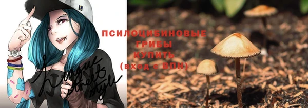 не бодяженный Богданович