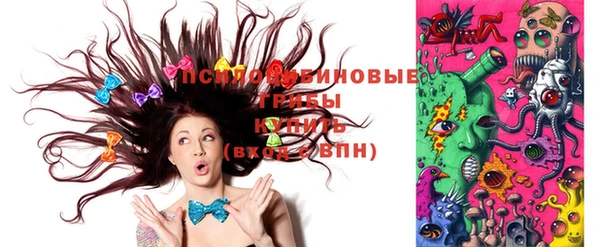 прущие крисы Арсеньев